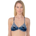 HUMPBACK 1 Reversible Tri Bikini Top