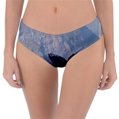 Humpback 1 Reversible Classic Bikini Bottoms by trendistuff