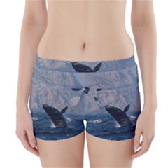 Humpback 1 Boyleg Bikini Wrap Bottoms