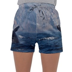 Humpback 1 Sleepwear Shorts by trendistuff