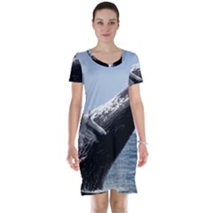 Humpback 2 Short Sleeve Nightdress by trendistuff