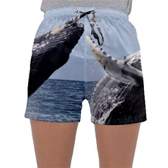 Humpback 2 Sleepwear Shorts by trendistuff