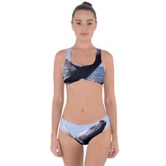 Humpback 2 Criss Cross Bikini Set by trendistuff