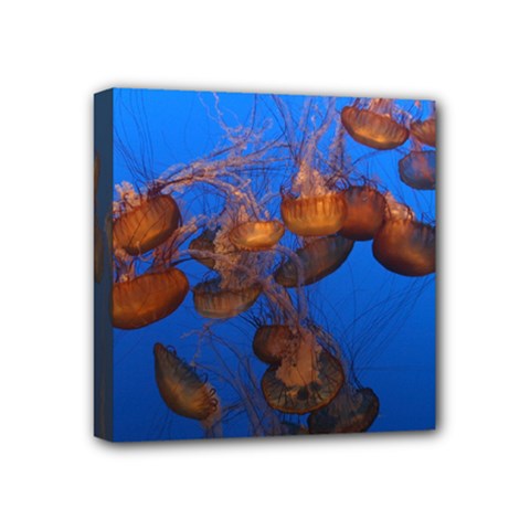 Jellyfish Aquarium Mini Canvas 4  X 4  by trendistuff