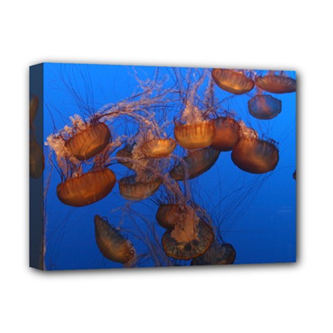 Jellyfish Aquarium Deluxe Canvas 16  X 12   by trendistuff