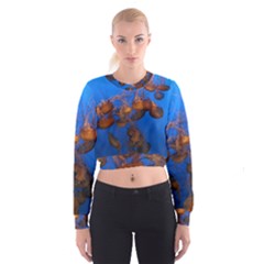 Jellyfish Aquarium Cropped Sweatshirt by trendistuff