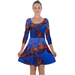 Jellyfish Aquarium Quarter Sleeve Skater Dress by trendistuff