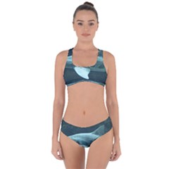 Leopard Shark Criss Cross Bikini Set by trendistuff