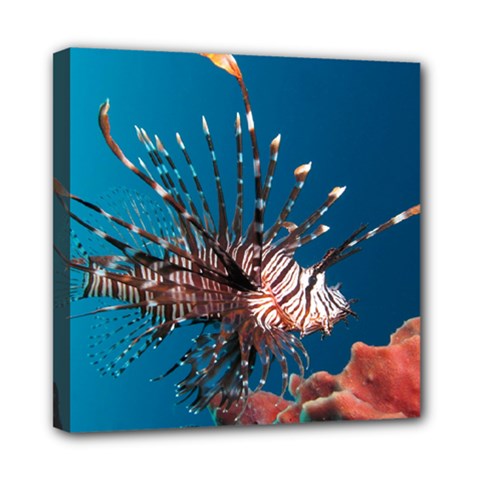 Lionfish 1 Multi Function Bag	 by trendistuff