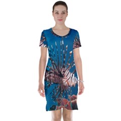 Lionfish 1 Short Sleeve Nightdress by trendistuff