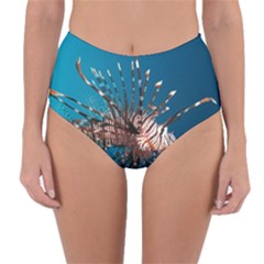 Lionfish 1 Reversible High-waist Bikini Bottoms by trendistuff