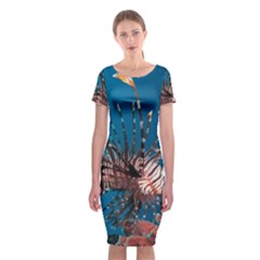 Lionfish 1 Classic Short Sleeve Midi Dress by trendistuff