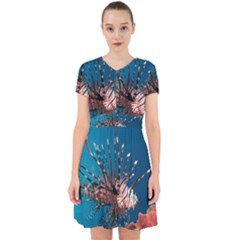 Lionfish 1 Adorable In Chiffon Dress by trendistuff