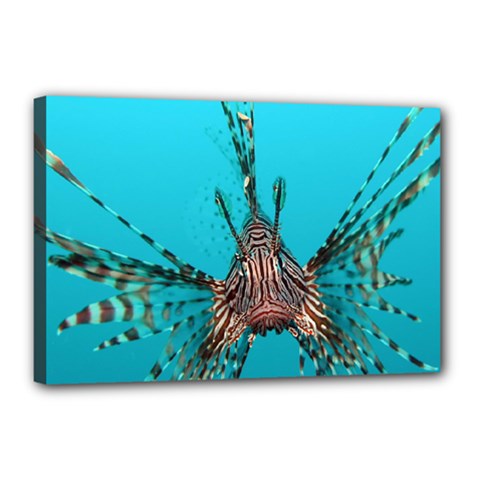 Lionfish 2 Canvas 18  X 12  by trendistuff