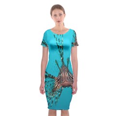 Lionfish 2 Classic Short Sleeve Midi Dress by trendistuff