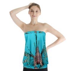 Lionfish 2 Strapless Top by trendistuff