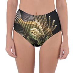 Lionfish 3 Reversible High-waist Bikini Bottoms by trendistuff