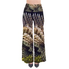 Lionfish 3 Pants by trendistuff