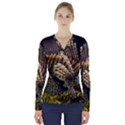 LIONFISH 3 V-Neck Long Sleeve Top View1