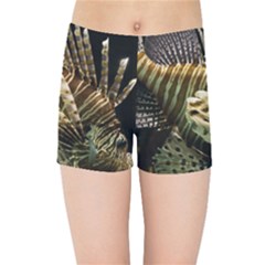 Lionfish 3 Kids Sports Shorts by trendistuff