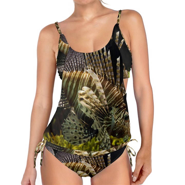 LIONFISH 3 Tankini Set