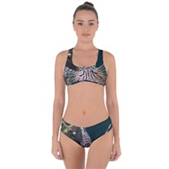 Lionfish 4 Criss Cross Bikini Set by trendistuff