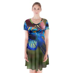 Mandarinfish 1 Short Sleeve V-neck Flare Dress by trendistuff