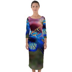 Mandarinfish 1 Quarter Sleeve Midi Bodycon Dress by trendistuff