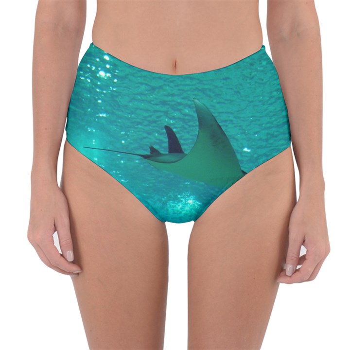 MANTA RAY 1 Reversible High-Waist Bikini Bottoms