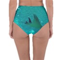 MANTA RAY 1 Reversible High-Waist Bikini Bottoms View2