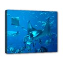 MANTA RAY 2 Deluxe Canvas 20  x 16   View1