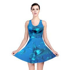 Manta Ray 2 Reversible Skater Dress by trendistuff