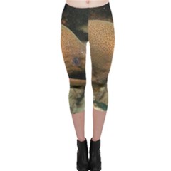 Moray Eel 1 Capri Leggings  by trendistuff