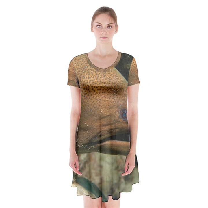 MORAY EEL 1 Short Sleeve V-neck Flare Dress