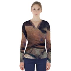 Moray Eel 1 V-neck Long Sleeve Top by trendistuff