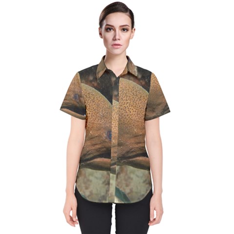 Moray Eel 1 Women s Short Sleeve Shirt by trendistuff