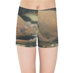 Moray Eel 1 Kids Sports Shorts by trendistuff