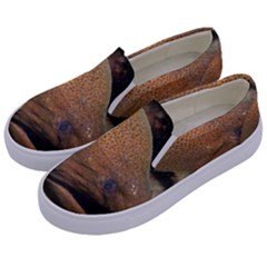 Moray Eel 1 Kids  Canvas Slip Ons by trendistuff