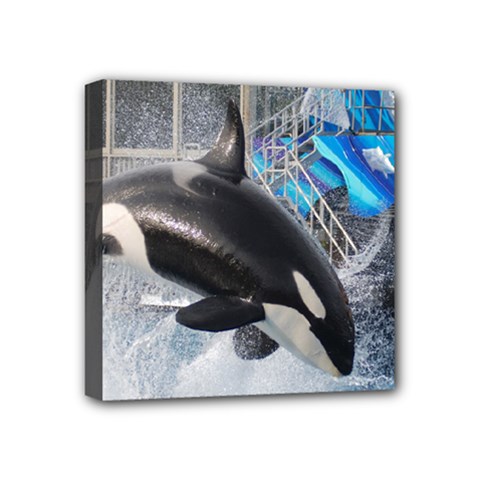 Orca 1 Mini Canvas 4  X 4  by trendistuff