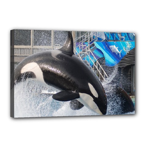 Orca 1 Canvas 18  X 12  by trendistuff