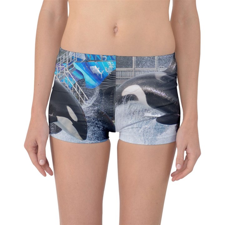 ORCA 1 Reversible Boyleg Bikini Bottoms