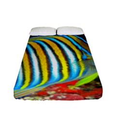 Regal Angelfish Fitted Sheet (full/ Double Size) by trendistuff