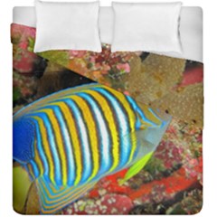 Regal Angelfish Duvet Cover Double Side (king Size) by trendistuff