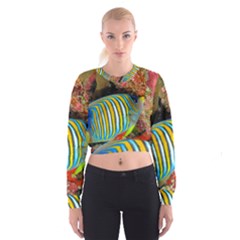 Regal Angelfish Cropped Sweatshirt by trendistuff