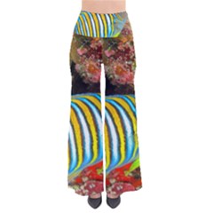 Regal Angelfish Pants by trendistuff