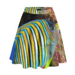 Regal Angelfish High Waist Skirt by trendistuff