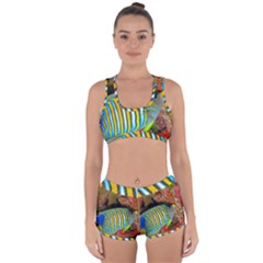 Regal Angelfish Racerback Boyleg Bikini Set by trendistuff