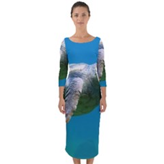 Sea Turtle 2 Quarter Sleeve Midi Bodycon Dress by trendistuff