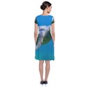 SEA TURTLE 2 Short Sleeve Front Wrap Dress View2