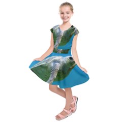 Sea Turtle 2 Kids  Short Sleeve Dress by trendistuff